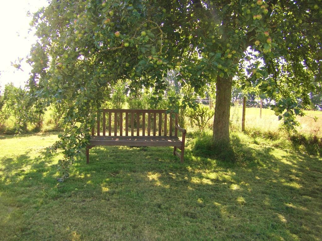 La Cloue Bed & Breakfast Sainte-Marie-du-Bois  Bagian luar foto