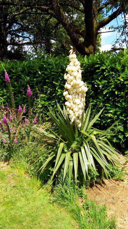 La Cloue Bed & Breakfast Sainte-Marie-du-Bois  Bagian luar foto