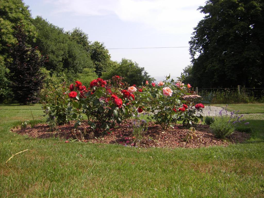 La Cloue Bed & Breakfast Sainte-Marie-du-Bois  Bagian luar foto
