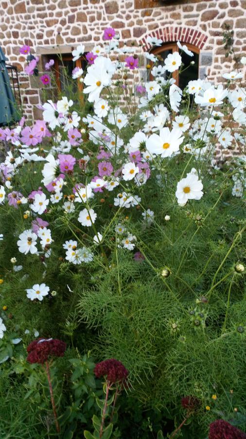 La Cloue Bed & Breakfast Sainte-Marie-du-Bois  Bagian luar foto